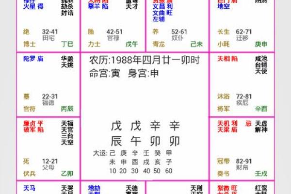 2025年3月15日子时女命紫微斗数全解盘