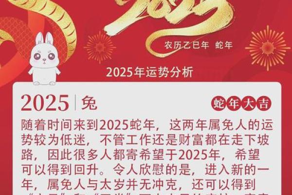 1999年属兔男孩事业运势解析与成功秘诀