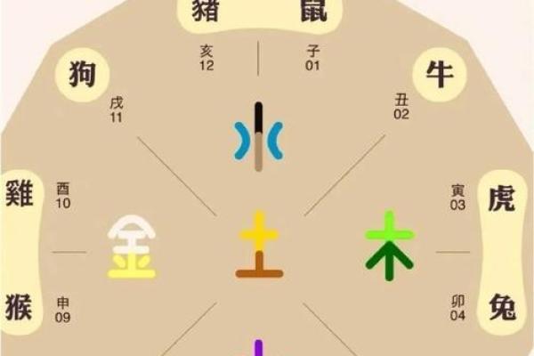 2025年龙五行属什么 2025年农历乙巳年生肖龙五行属性及命理解析