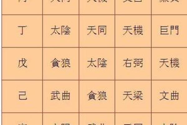 2025年4月30日戌时男命紫微斗数全解盘