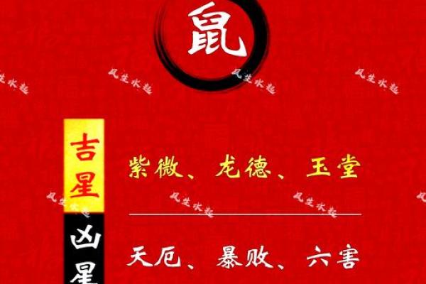 1984年属鼠人2025年每月运势