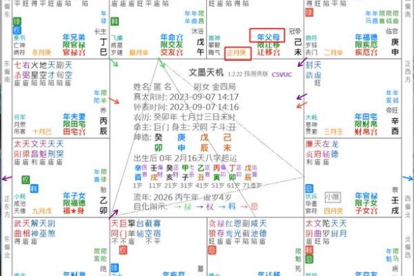 2025年4月7日午时女命紫微斗数全解盘