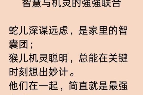 南辕北辙打一个生肖