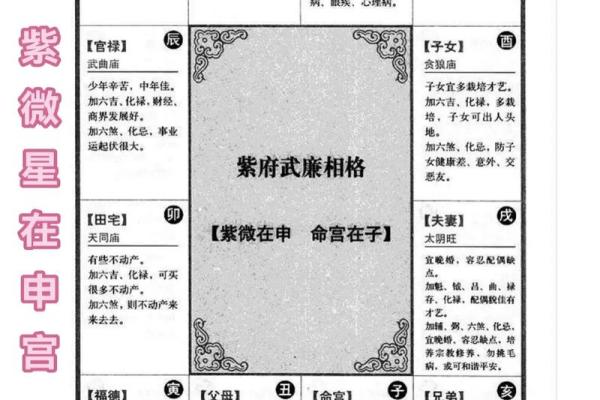 2025年4月14日申时女命紫微斗数全解盘