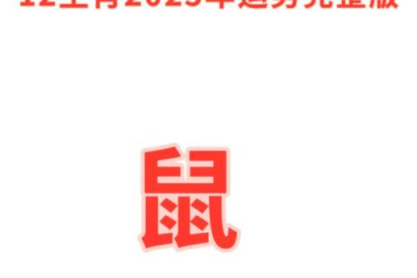 1996年2025年属鼠人的全年运势详解