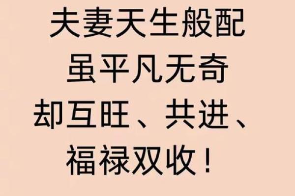 “三从四德”是什么生肖，三从四德是什么生肖答案解释释义落实