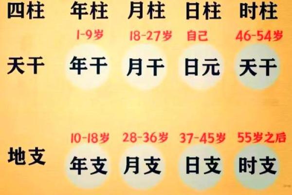 生辰八字格式_生辰八字格式怎么写1996年10月22