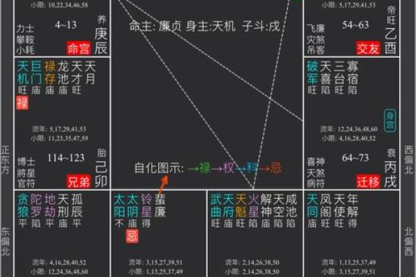 2025年4月3日未时女命紫微斗数全解盘