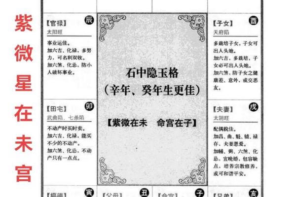 2025年4月3日未时女命紫微斗数全解盘