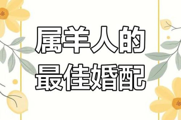 属羊和属羊的婚配好不好_属羊和属羊的婚配好吗解析羊羊配对的幸福指数