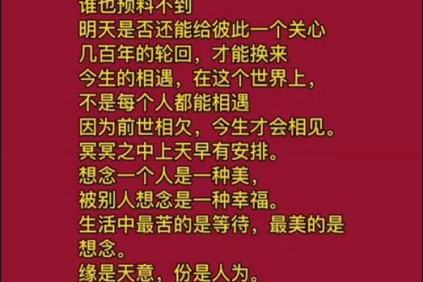 缘分妙不可言揭秘命运中的奇妙相遇