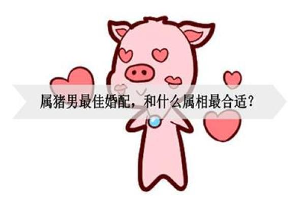 属猪的最佳婚配属相 属猪最佳婚配属相揭秘幸福婚姻的生肖配对指南
