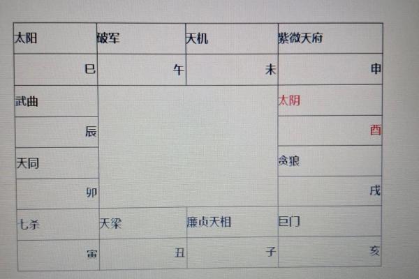 2025年4月16日巳时男命紫微斗数全解盘