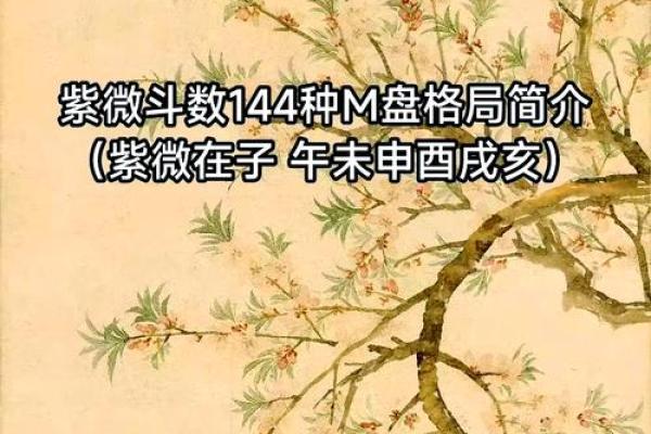 2025年4月18日亥时男命紫微斗数全解盘