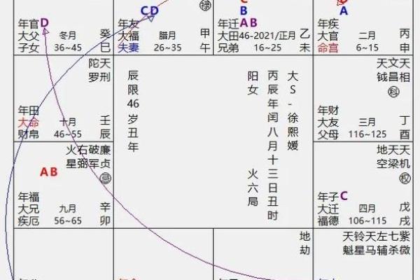 2025年4月24日辰时女命紫微斗数全解盘