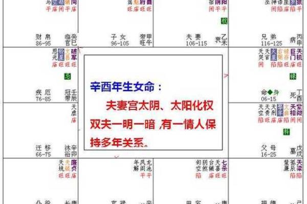 2025年4月5日戌时女命紫微斗数全解盘