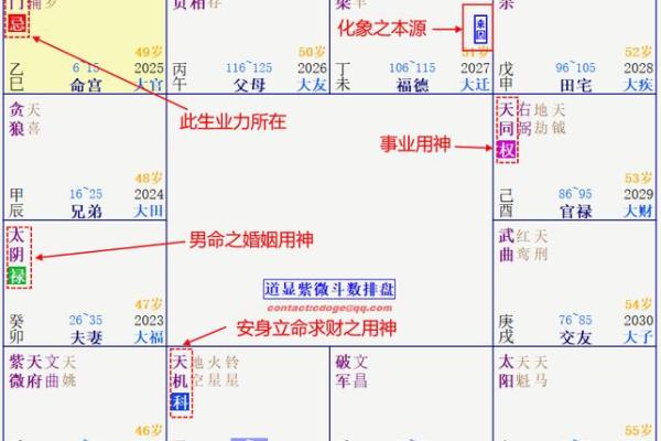 2025年4月1日丑时女命紫微斗数全解盘