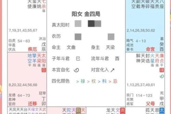 2025年4月10日戌时女命紫微斗数全解盘