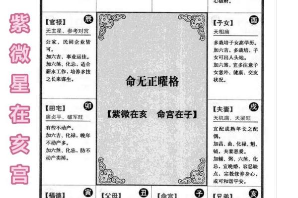 2025年4月29日午时女命紫微斗数全解盘