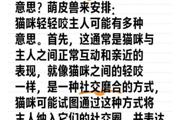梦到被猫咬是什么意思