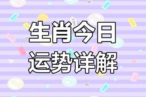 2025年4月13日生肖运势大揭秘