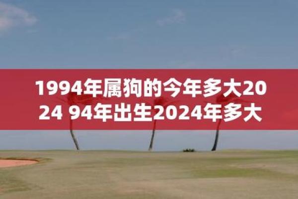 1994年狗2025年运势 2025年1994属狗人的全年运势