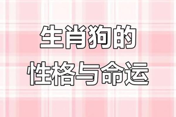 1994年属狗一生运势 1994年属狗一生运势详解财运事业爱情全解析
