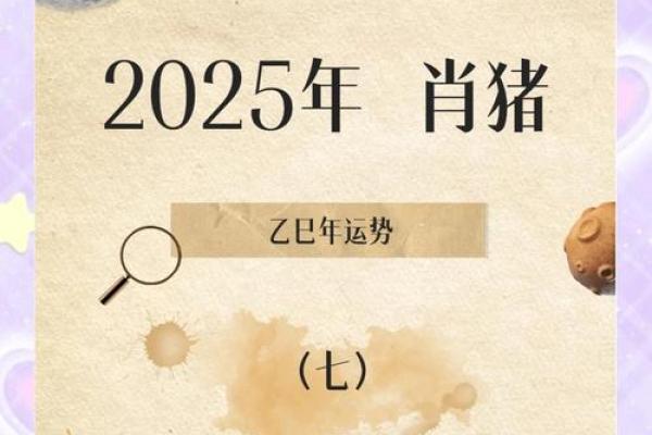 属猪的2025运势怎么样_2025年属猪人运势详解财运事业爱情全解析