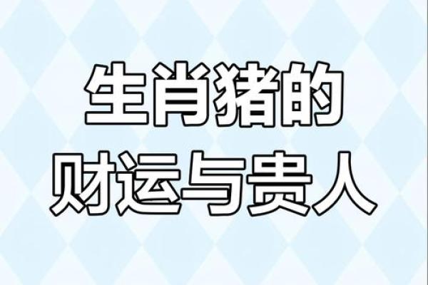属猪的今天运势财运如何_属猪的今天运势财运如何可以打麻将呢