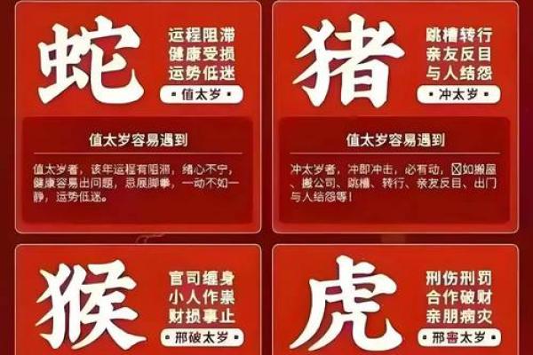 2025年属鼠人的全年运势 2025年属鼠人的全年运势