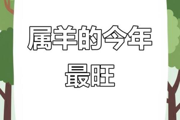 55年的羊2025年运势 2025年55年属羊人运势详解财运事业感情全解析