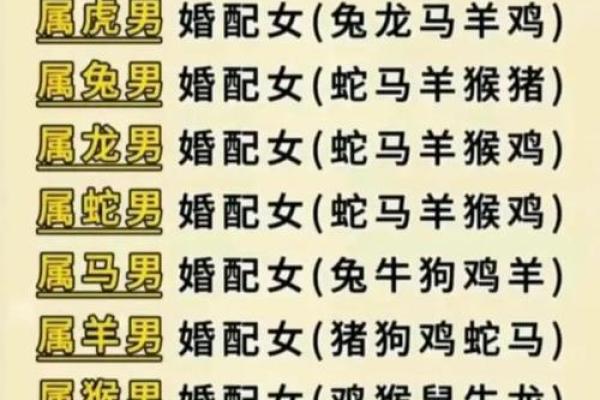 95属猪男最佳婚配指南生肖配对与幸福婚姻秘诀