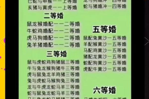 95属猪男最佳婚配指南生肖配对与幸福婚姻秘诀