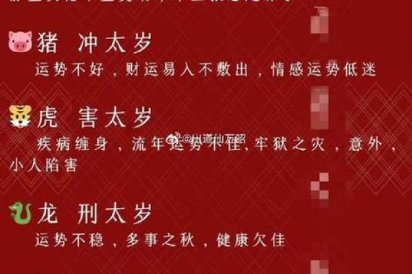 2025年属猪人的全年运势如何_2025年属猪人的每月运势详解