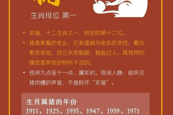 2008年属猪人一生运程解析财运事业感情全揭秘