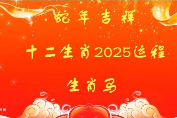 属马人十二生肖流年运势_属马人的流年运程