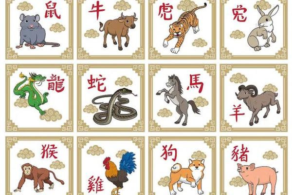 司晨报晓的动物是什么生肖(司晨报晓具体是哪个生肖)