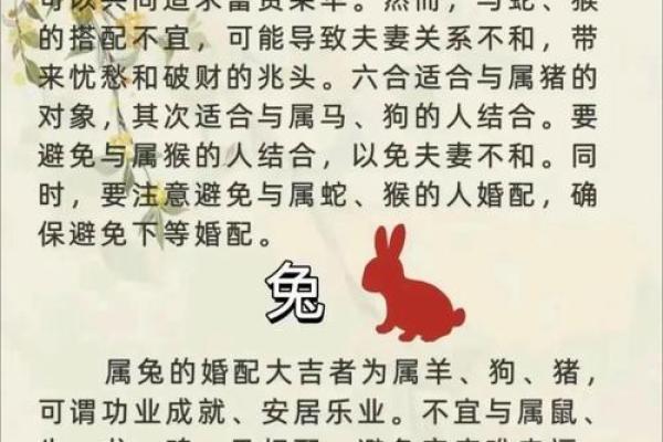 曲高和寡打一生肖(曲高和寡猜生肖)