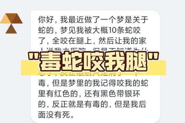 梦见很多蛇是什么预兆男人