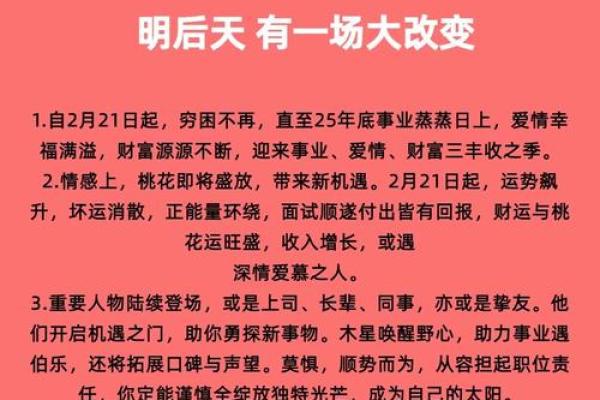 2025年属猪人的幸运色_2025年属猪人幸运色揭秘助你运势飙升的绝佳选择