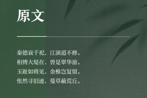 驰道十光上连天打一生肖
