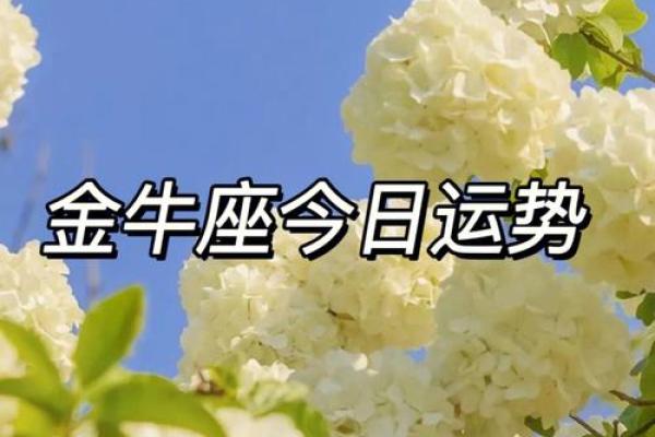 金牛座女今日运势最准 金牛座女今日运势最准