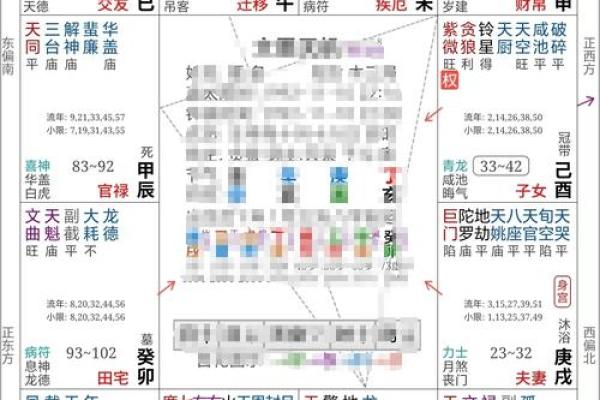 2025年4月23日丑时男命紫微斗数全解盘