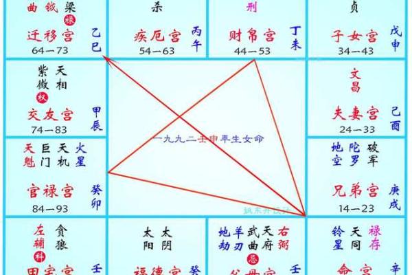 2025年4月29日午时男命紫微斗数全解盘