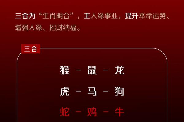 风吹云路追仙跑什么生肖