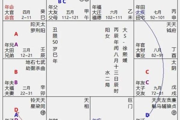 2025年4月26日子时女命紫微斗数全解盘