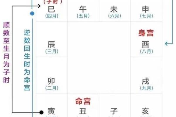 2025年4月20日辰时女命紫微斗数全解盘
