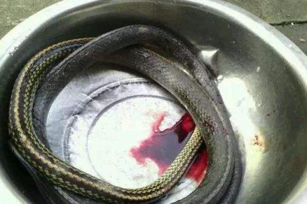 梦见被人砍