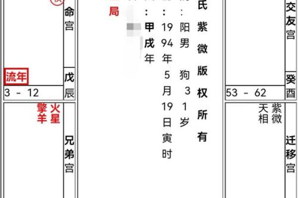 2025年4月29日卯时男命紫微斗数全解盘