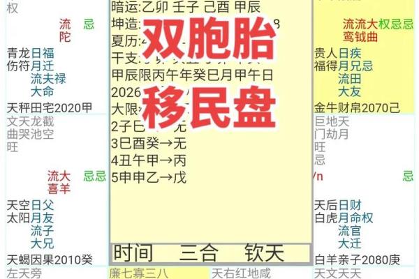 2025年4月29日卯时男命紫微斗数全解盘